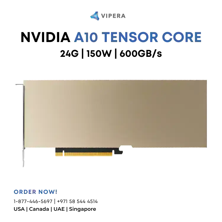 NVIDIA A10 24G Tensor Core GPU